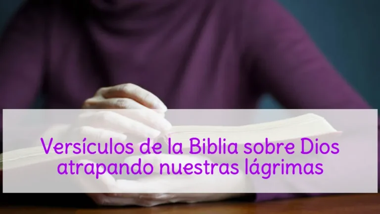 Versículos de la Biblia sobre Dios atrapando nuestras lágrimas