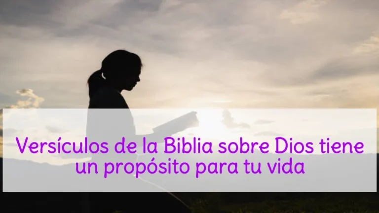 Versículos de la Biblia sobre Dios tiene un propósito para tu vida