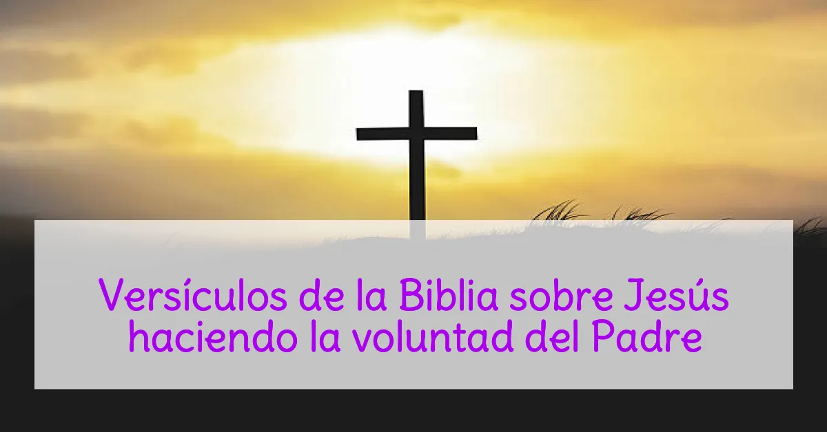 Versículos de la Biblia sobre Jesús haciendo la voluntad del Padre