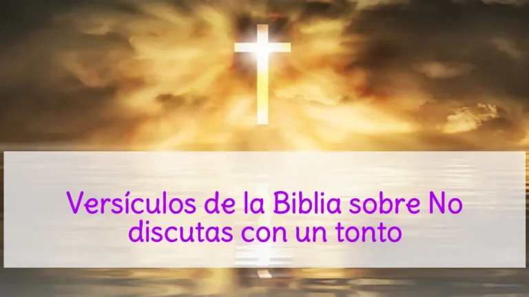 Versículos de la Biblia sobre No discutas con un tonto