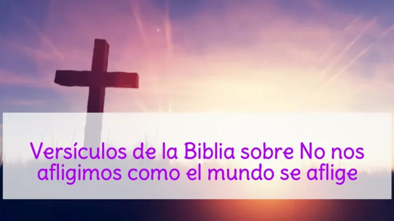 Versículos de la Biblia sobre No nos afligimos como el mundo se aflige