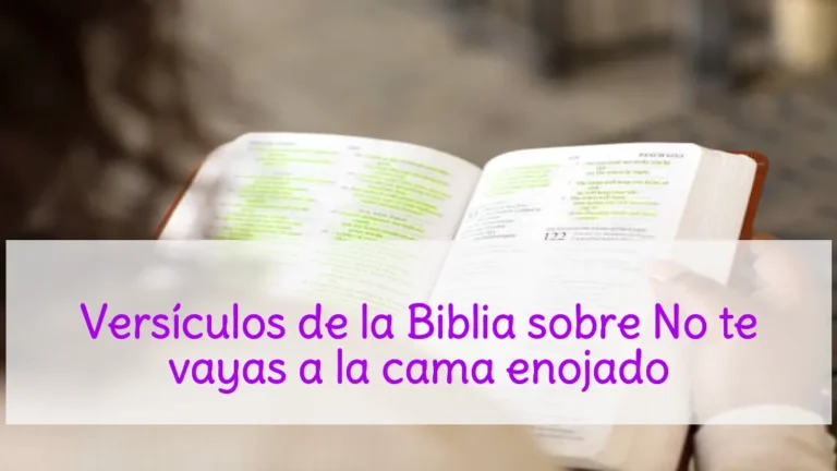 Versículos de la Biblia sobre No te vayas a la cama enojado