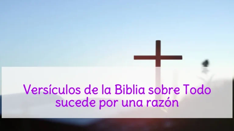Versículos de la Biblia sobre Todo sucede por una razón
