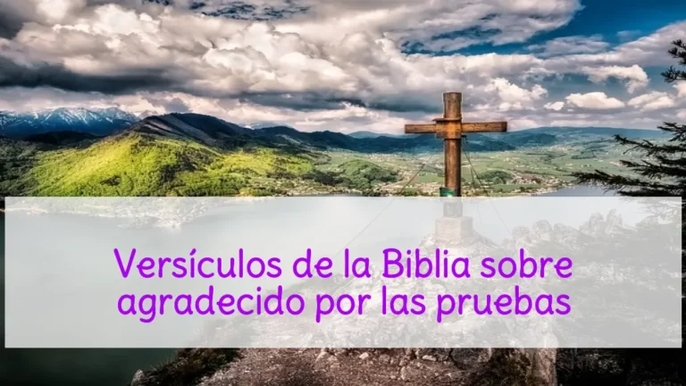 Versículos de la Biblia sobre agradecido por las pruebas