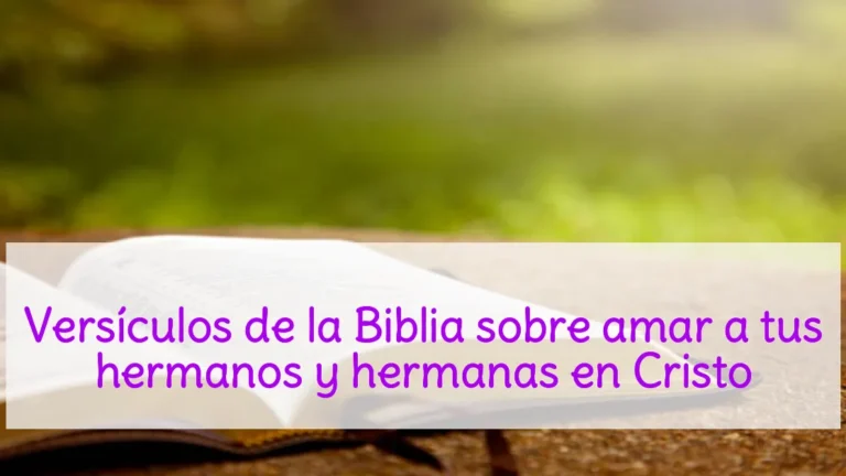 Versículos de la Biblia sobre amar a tus hermanos y hermanas en Cristo