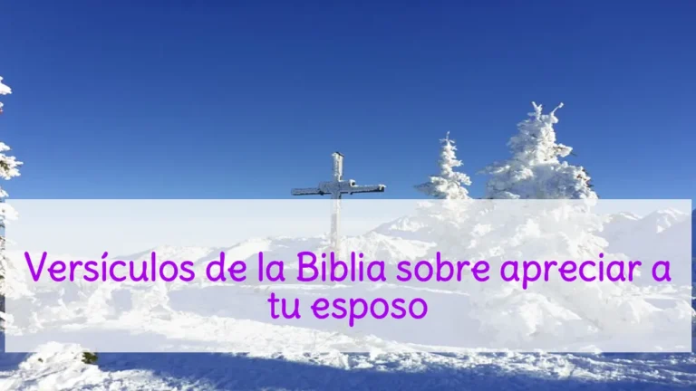 Versículos de la Biblia sobre apreciar a tu esposo