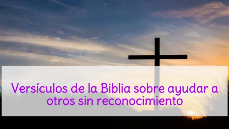 Versículos de la Biblia sobre ayudar a otros sin reconocimiento