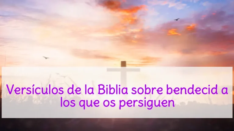 Versículos de la Biblia sobre bendecid a los que os persiguen