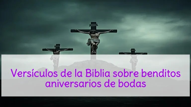 Versículos de la Biblia sobre benditos aniversarios de bodas