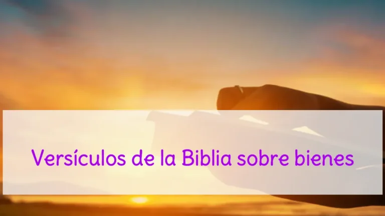 Versículos de la Biblia sobre bienes