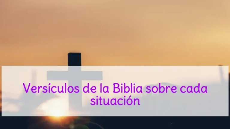 Versículos de la Biblia sobre cada situación