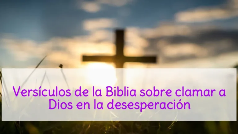 Versículos de la Biblia sobre clamar a Dios en la desesperación