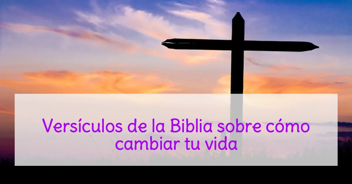 Versículos de la Biblia sobre cómo cambiar tu vida