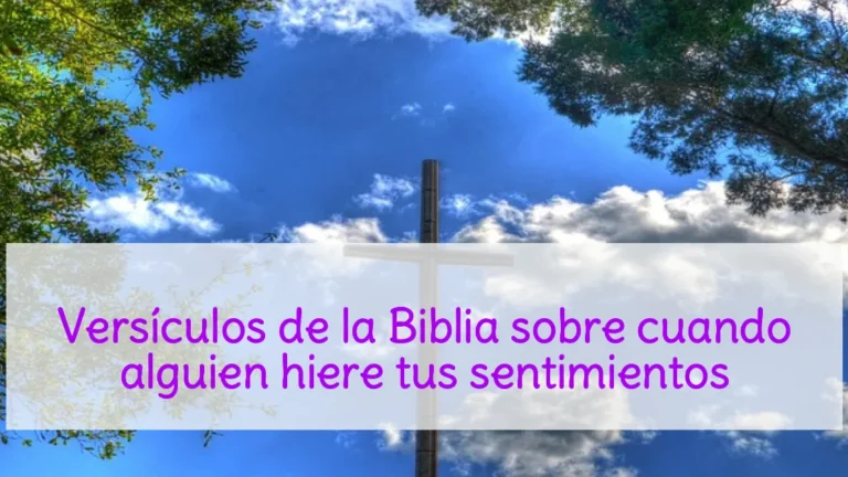 Versículos de la Biblia sobre cuando alguien hiere tus sentimientos