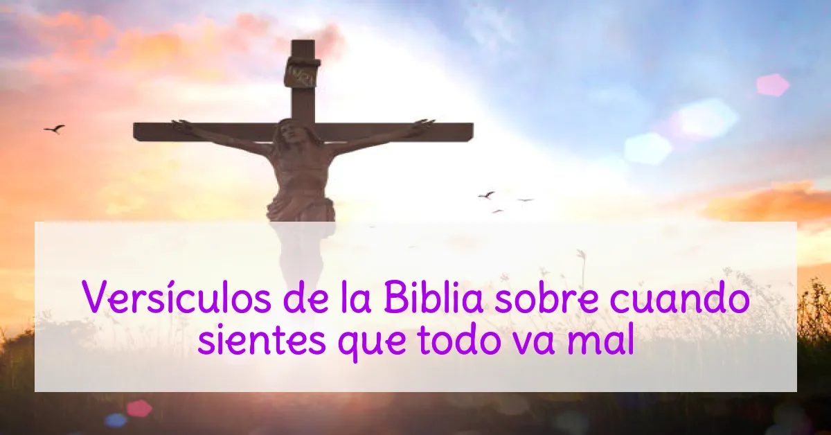 Versículos de la Biblia sobre cuando sientes que todo va mal