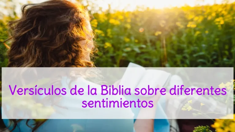Versículos de la Biblia sobre diferentes sentimientos