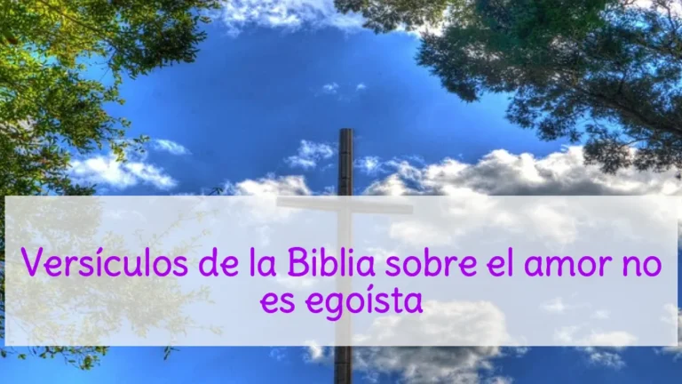 Versículos de la Biblia sobre el amor no es egoísta