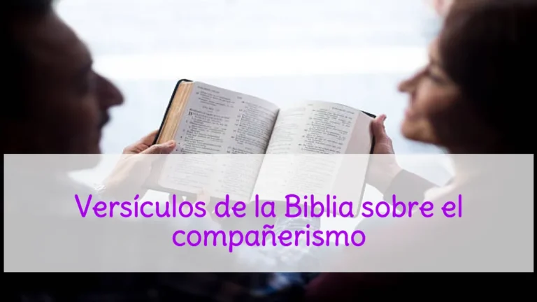 Versículos de la Biblia sobre el compañerismo