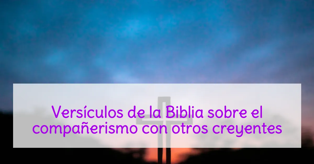 Versículos de la Biblia sobre el compañerismo con otros creyentes