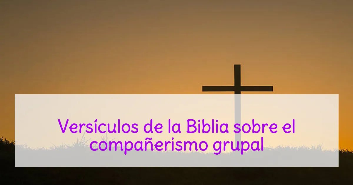 Versículos de la Biblia sobre el compañerismo grupal