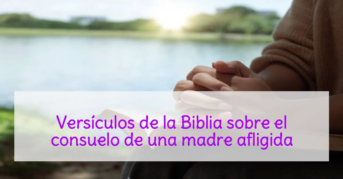 Versículos de la Biblia sobre el consuelo de una madre afligida
