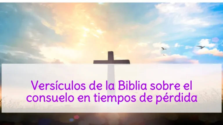 Versículos de la Biblia sobre el consuelo en tiempos de pérdida