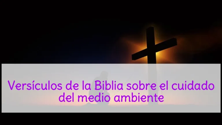 Versículos de la Biblia sobre el cuidado del medio ambiente