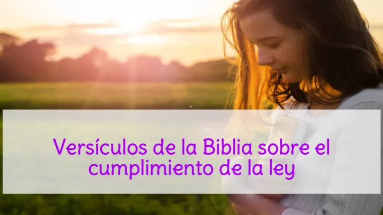 Versículos de la Biblia sobre el cumplimiento de la ley