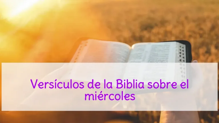 Versículos de la Biblia sobre el miércoles