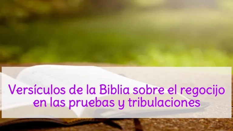 Versículos de la Biblia sobre el regocijo en las pruebas y tribulaciones