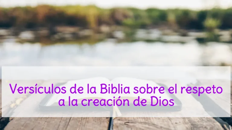 Versículos de la Biblia sobre el respeto a la creación de Dios