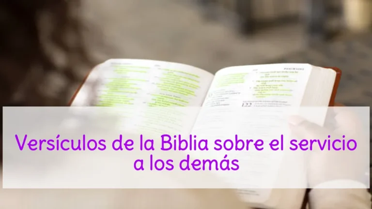 Versículos de la Biblia sobre el servicio a los demás