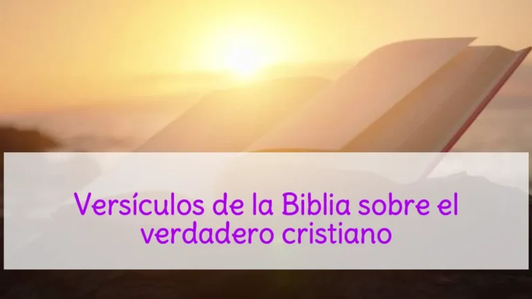 Versículos de la Biblia sobre el verdadero cristiano