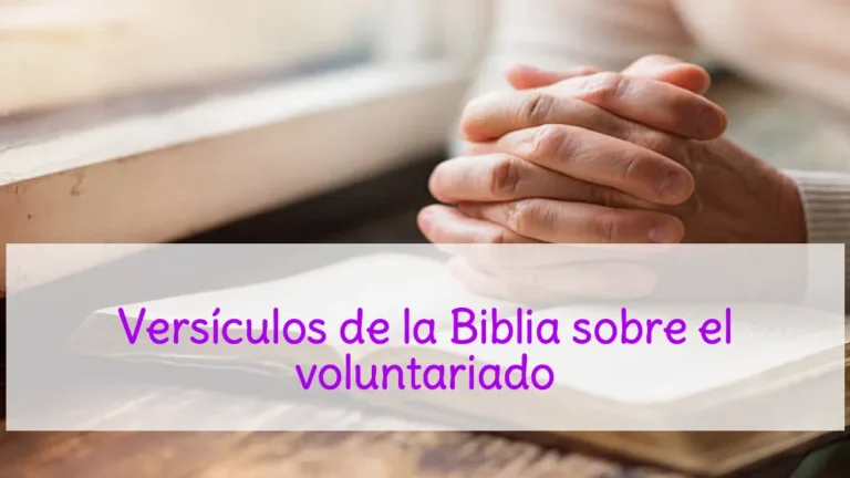 Versículos de la Biblia sobre el voluntariado