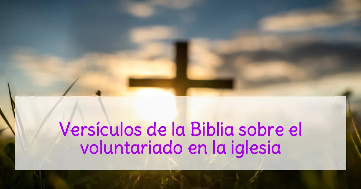 Versículos de la Biblia sobre el voluntariado en la iglesia