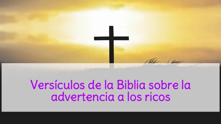 Versículos de la Biblia sobre la advertencia a los ricos