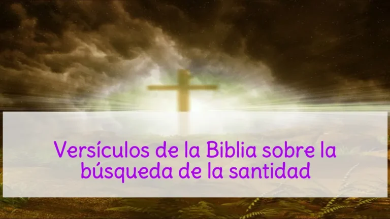 Versículos de la Biblia sobre la búsqueda de la santidad