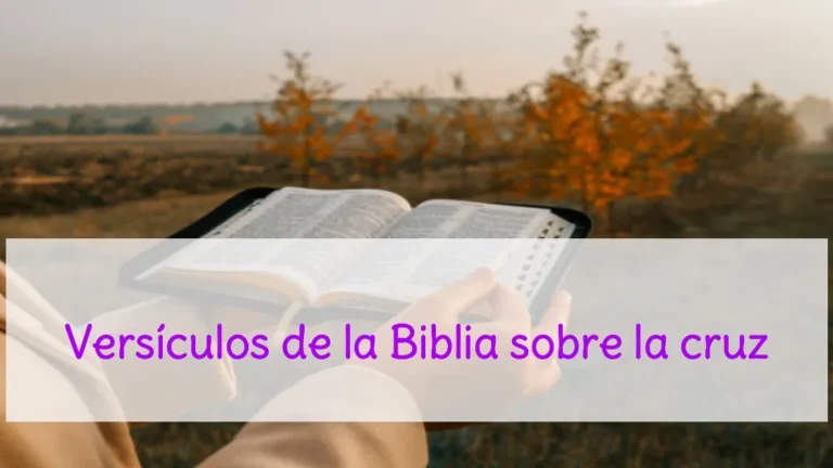Versículos de la Biblia sobre la cruz
