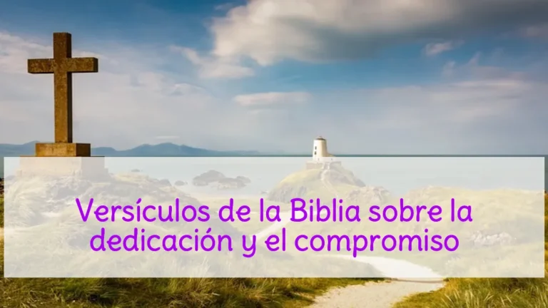 Versículos de la Biblia sobre la dedicación y el compromiso