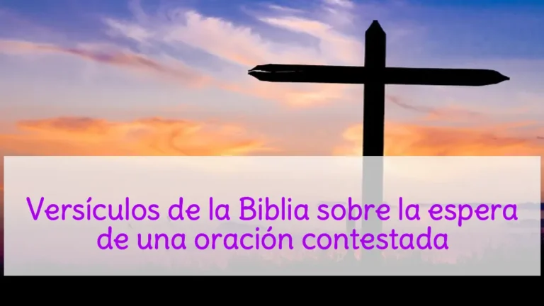Versículos de la Biblia sobre la espera de una oración contestada