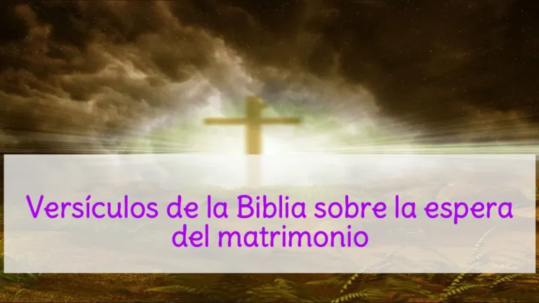 Versículos de la Biblia sobre la espera del matrimonio