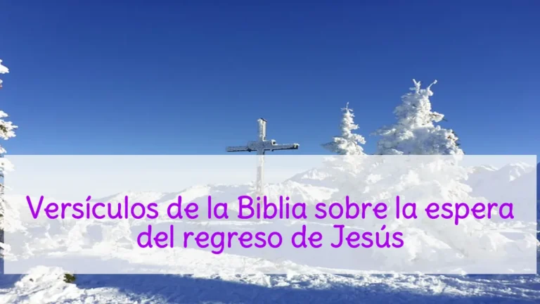 Versículos de la Biblia sobre la espera del regreso de Jesús