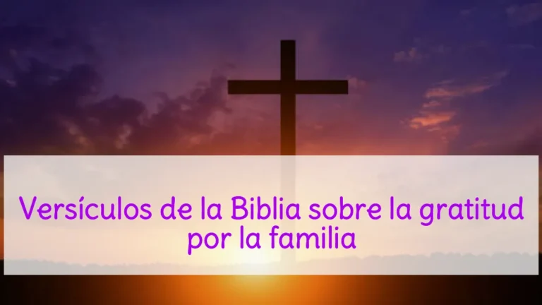 Versículos de la Biblia sobre la gratitud por la familia