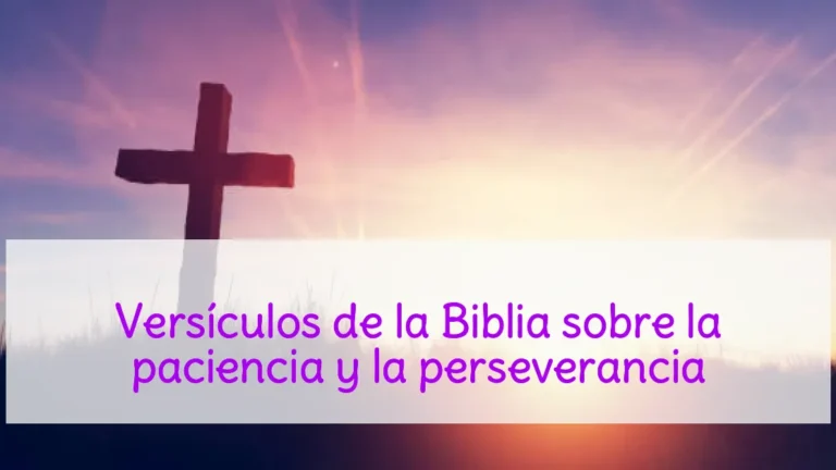 Versículos de la Biblia sobre la paciencia y la perseverancia