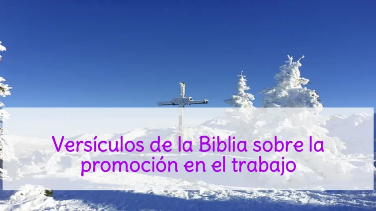 Versículos de la Biblia sobre la promoción en el trabajo