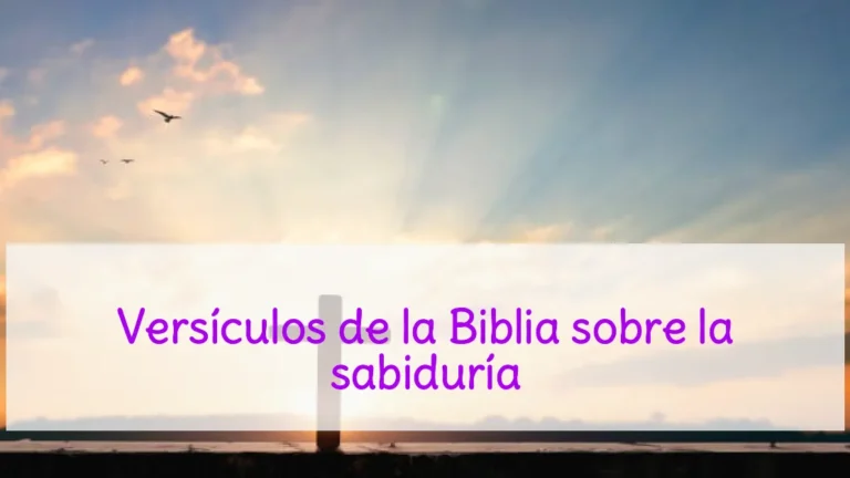 Versículos de la Biblia sobre la sabiduría