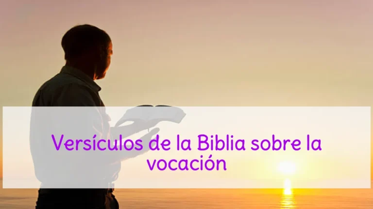 Versículos de la Biblia sobre la vocación