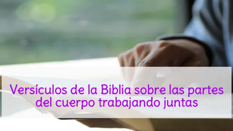 Versículos de la Biblia sobre las partes del cuerpo trabajando juntas