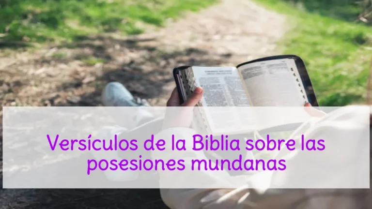 Versículos de la Biblia sobre las posesiones mundanas
