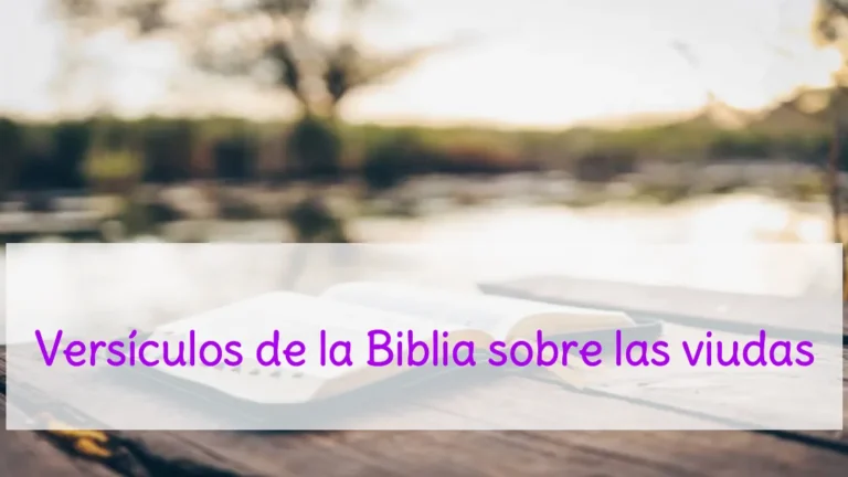 Versículos de la Biblia sobre las viudas